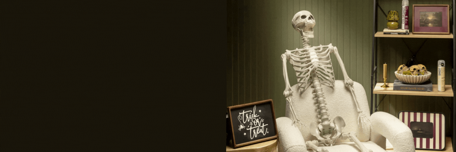 Skeleton painted with colorshot new chalk spray paint