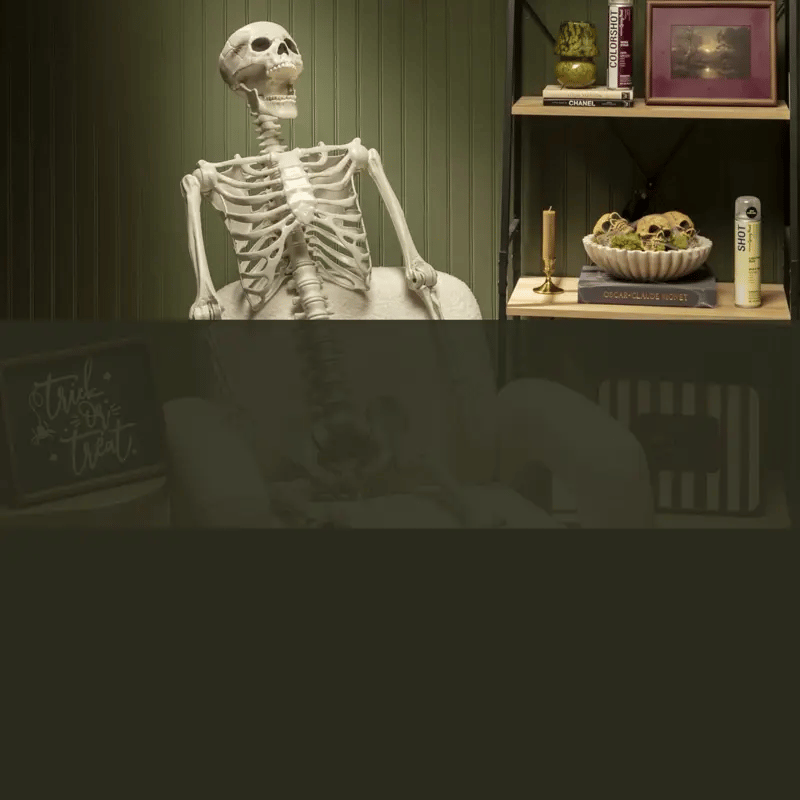 Skeletal figure in a room with decorative items on a shelf