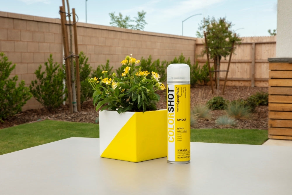 How To Spray Paint Ceramics with COLORSHOT