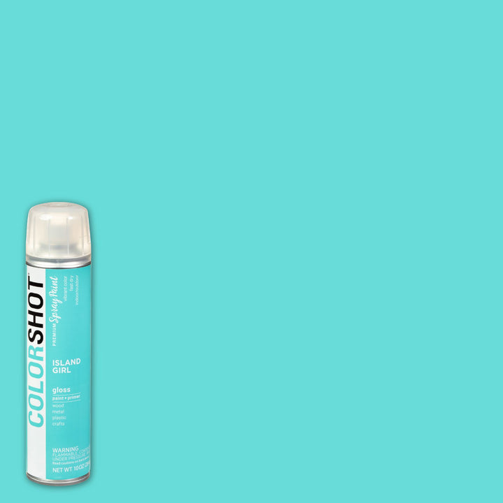 Picture of 48285 COLORSHOT Gloss Spray Paint Island Girl (Mint) 10 oz.