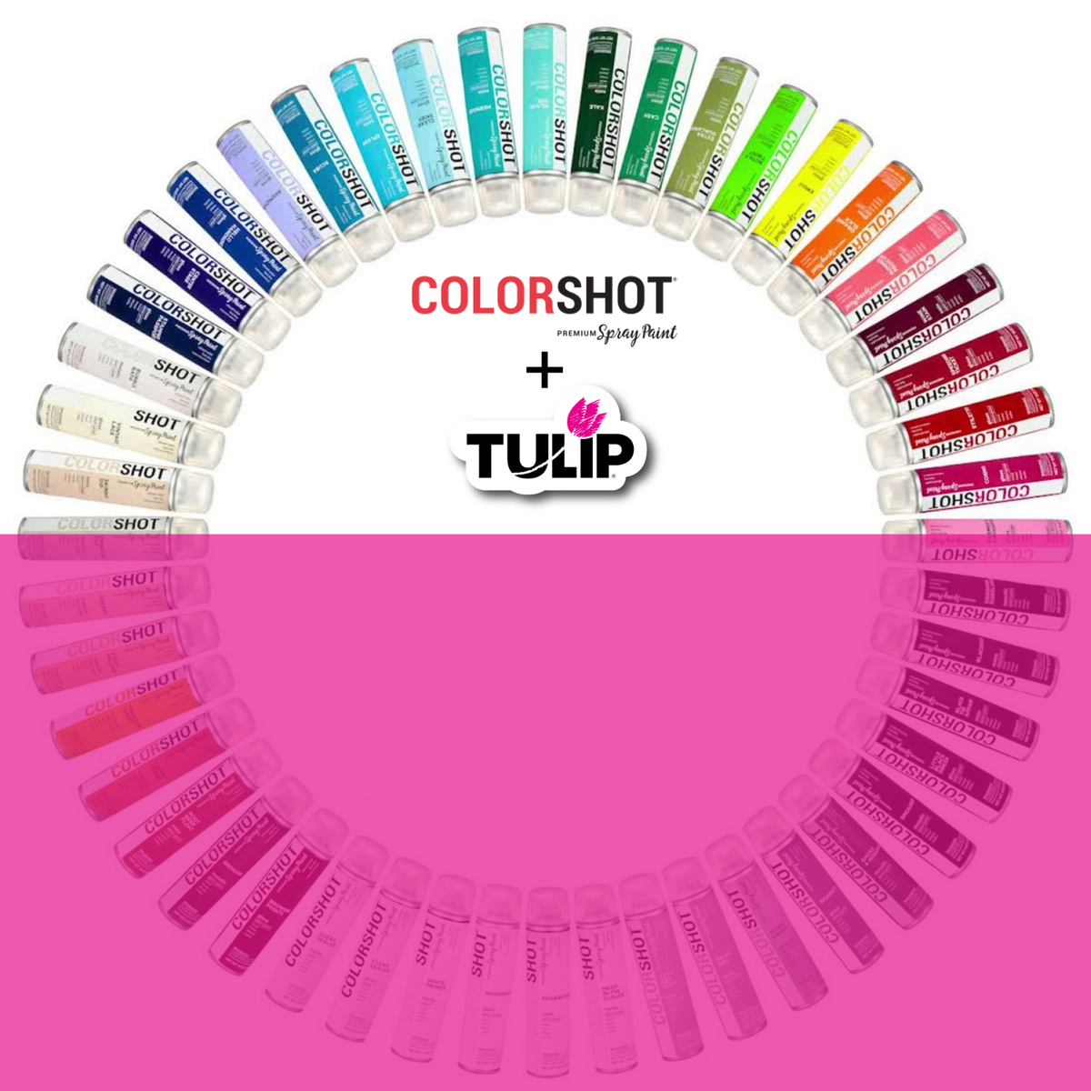 COLORSHOT Premium Spray Paint
