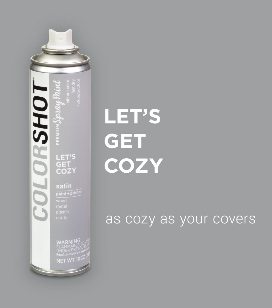 Picture of 48298 COLORSHOT Satin Spray Paint Let's Get Cozy (Light Gray) 10 oz.