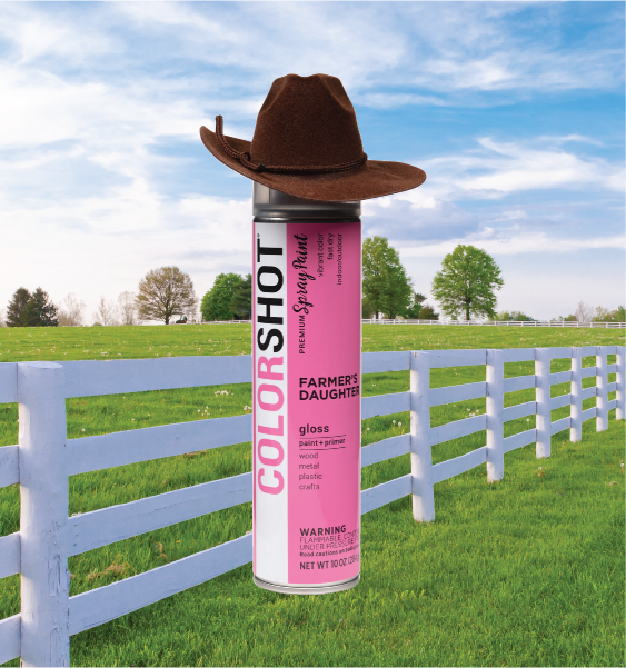 Farmer's Daughter COLORSHOT pink spray paint. Click to learn more about the color.