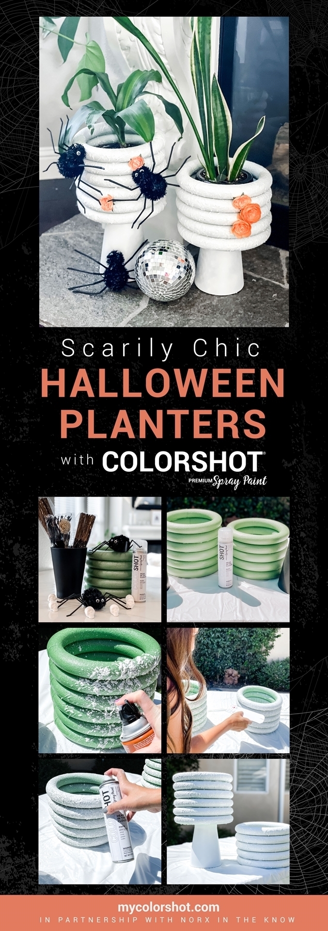 Spooky Chic Planters Halloween Craft Idea