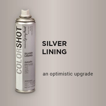 Picture of 42678 Silver Lining