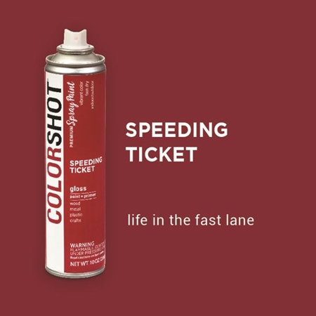 Picture of 42640 Speeding Ticket