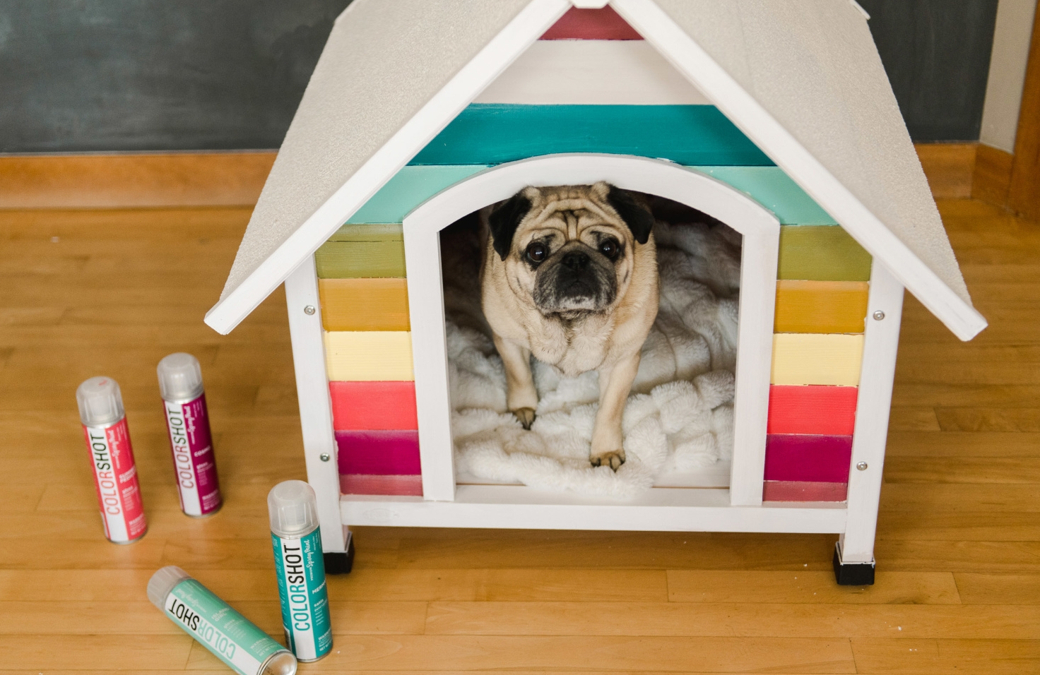DIY Dog House Makeover with Spray Paint