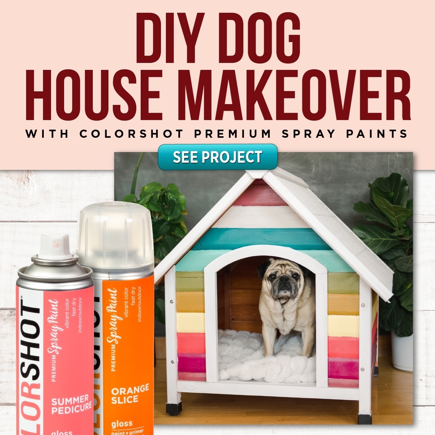 DIY Dog House Makeover with Spray Paint