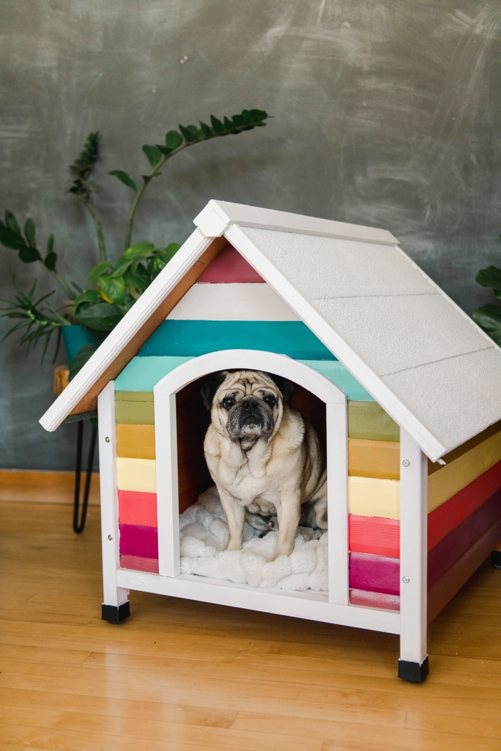 Spray Painted Dog House