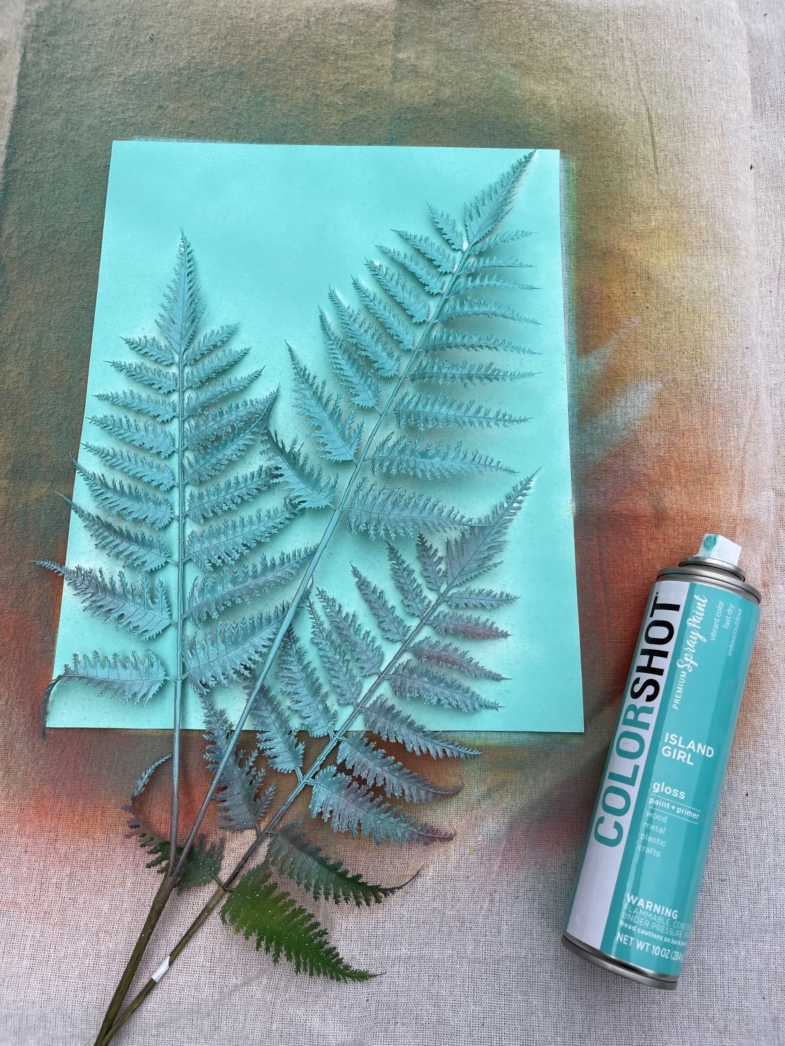 Arrange foliage onto paper and apply spray paint