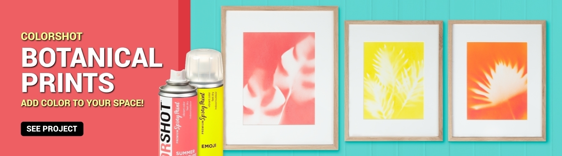 DIY Framed Botanical Prints with Spray Paint